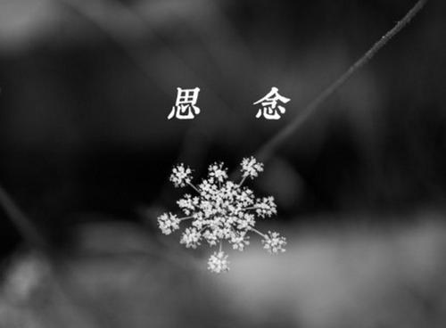 表达思想的英语句子