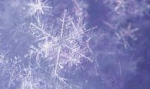 跟雪有关的谚语