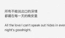 精美爱情短句英文