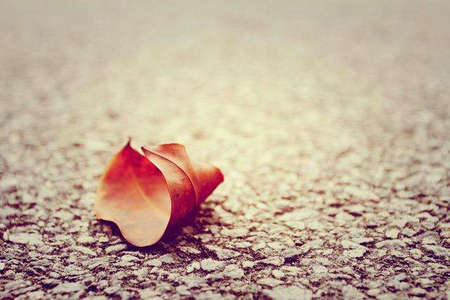 当生命的帷幕即将结束时,您会发现曾经认为很重要的事情实际上是不必要的