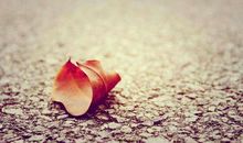 人生即将谢幕时，就会发现曾经觉得重要的东西其实可有可无