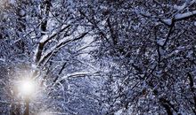 冬季雪景的句子