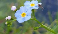 很可爱的朋友圈句子