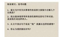 表达兄弟情深的短句