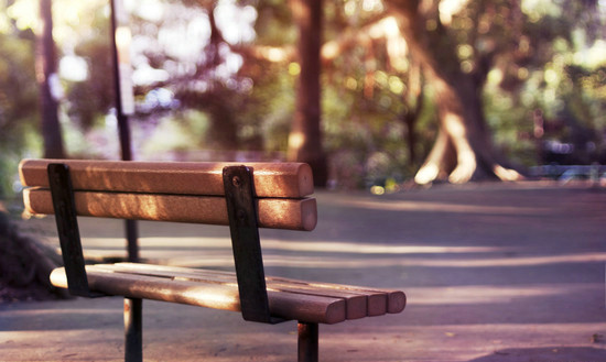 美丽的图画和句子3