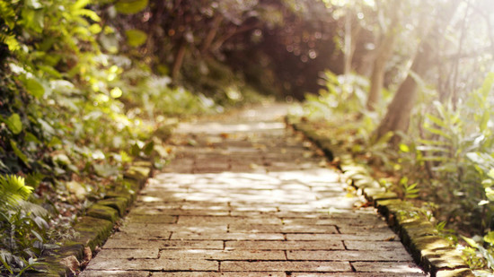 美丽的图画和句子