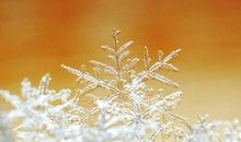 雪花落下来比喻句