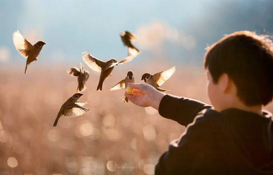 在这个浮躁的世界里,愿你的爱更加平静1