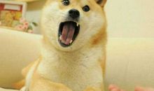 形容多管闲事的歇后语