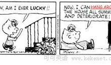 有关保护动物的谚语英语