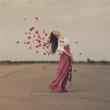 带有图片的美丽句子3