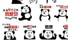 餐饮励志口号霸气