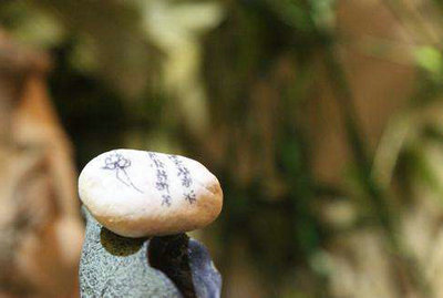 出生并不容易。经历从生到死的漫长旅程1