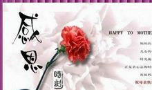 赞美母爱的谚语