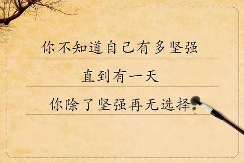 霸气圈的朋友谈