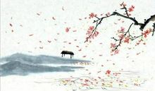 表达思念之苦的诗句