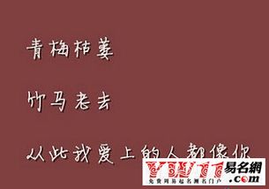 谈论大爱,谈论短暂和流行