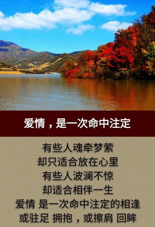 一生伴随的美丽诗