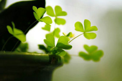 一切都太重要了,因为挫折太少了