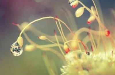 一切都很重要,因为挫折太少1