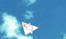 人嘛，总要有些理想在，或是大，或是小