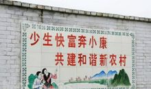 学校综合治理宣传标语