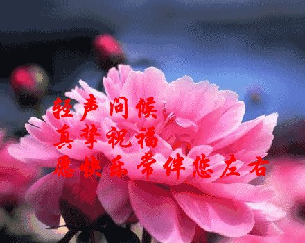 我早上想念我的爱人