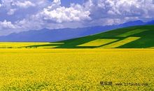 草原美景的比喻句