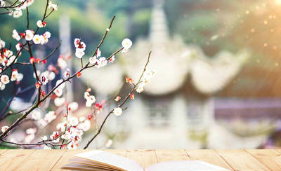 带有图片的美学句子和情绪短语：转身离开，分手后无法分辨1