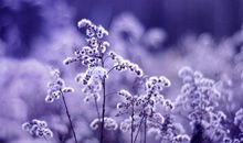 很短很文艺很唯美的句子及图片