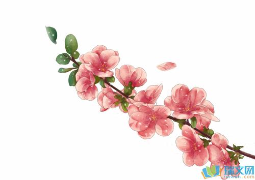 美丽的经文描述桃花