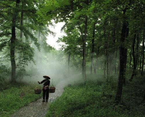 农民耕种土地的谚语
