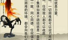 友爱团结的谚语