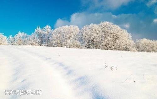 与雪有关的谚语