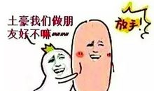 墙头跑马歇后语