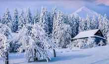 有关于雪的谚语