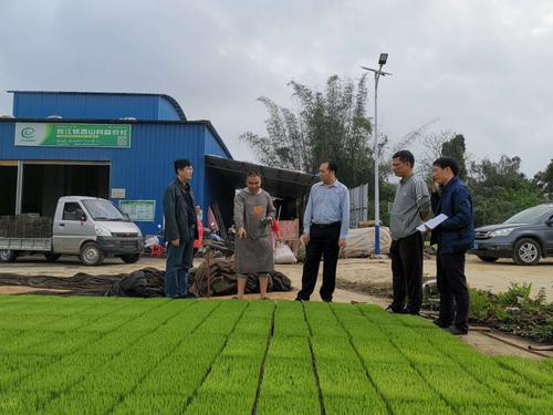 关于春季耕作的谚语