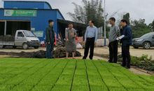 春耕备耕的谚语