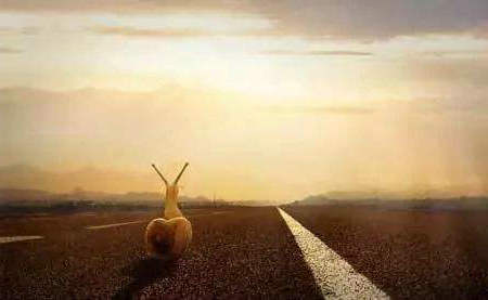 努力工作将在生活中有足够的选择1