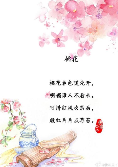 描绘桃花盛开的诗