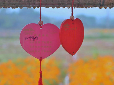 失踪就像一杯柠檬水,我不知道那是无法满足的酸