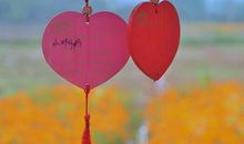 思念如同一杯柠檬汽水，不知道是无法相遇的酸