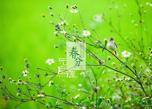 关于春天的民间谚语