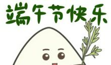 祝端午节安康的短信