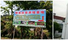 健康扶贫的宣传口号