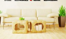 九年级体育运动节口号