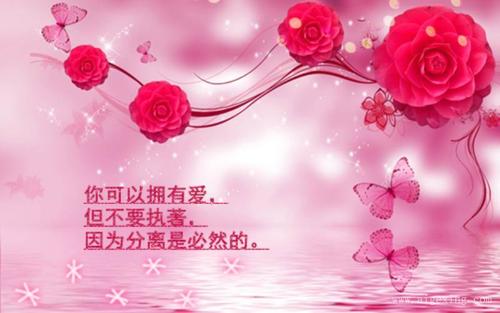 蝶恋花中的著名句子