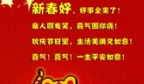 新年祝福语长
