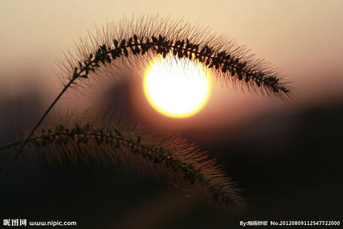 关于黄昏的寓言