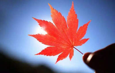 在困难时期的风风雨雨中，经常改变的是我的心1